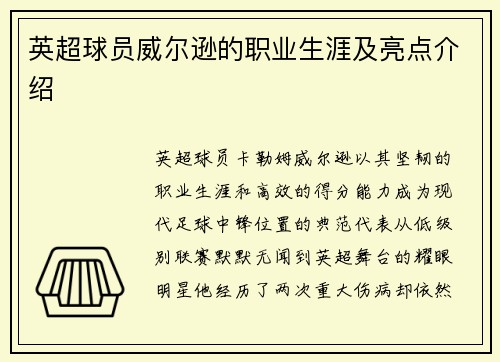 英超球员威尔逊的职业生涯及亮点介绍
